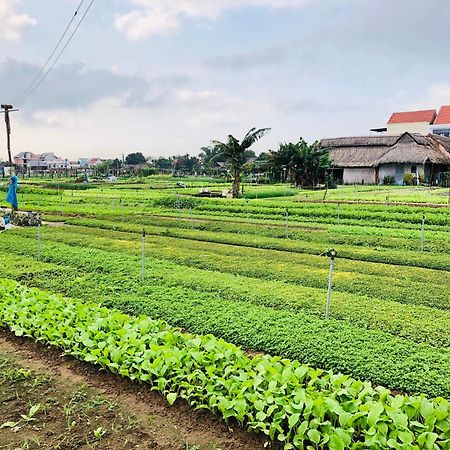 Snow Pearl Homestay Hội An Ngoại thất bức ảnh